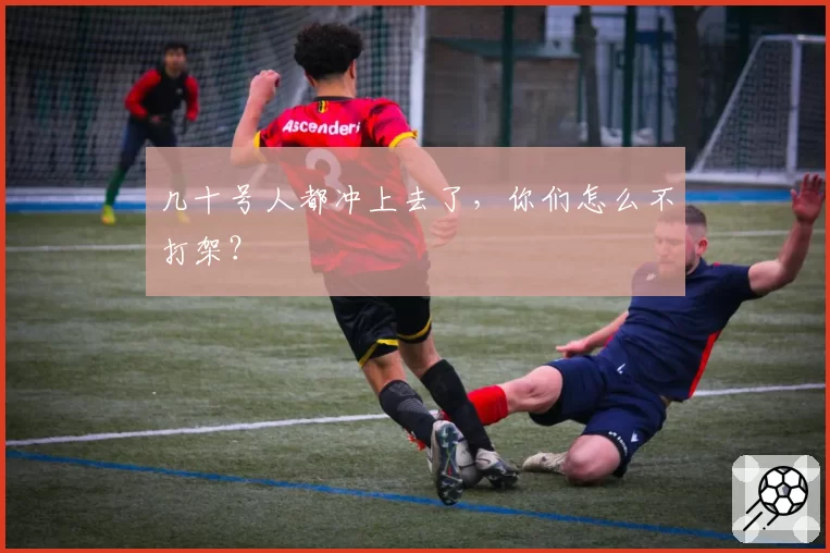 几十号人都冲上去了，你们怎么不打架？